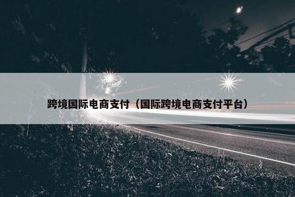 跨境国际电商支付（国际跨境电商支付平台）