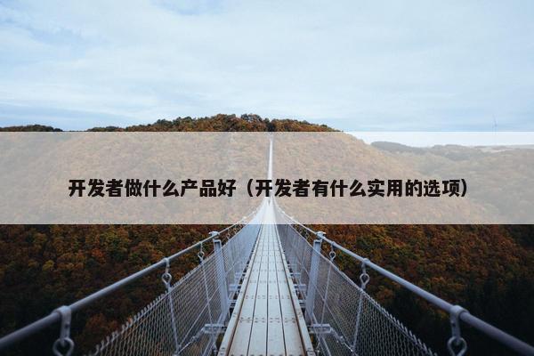 开发者做什么产品好（开发者有什么实用的选项）