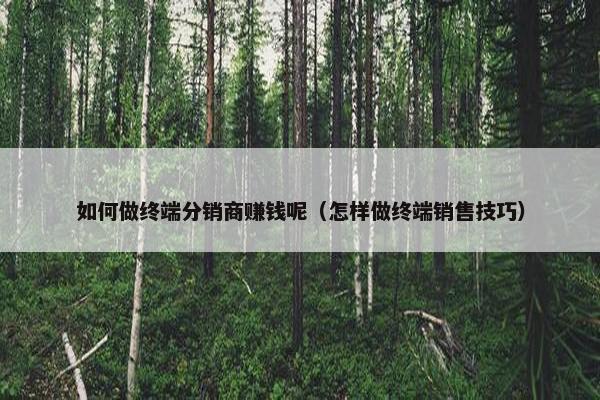 如何做终端分销商赚钱呢（怎样做终端销售技巧）