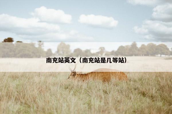 南充站英文（南充站是几等站）