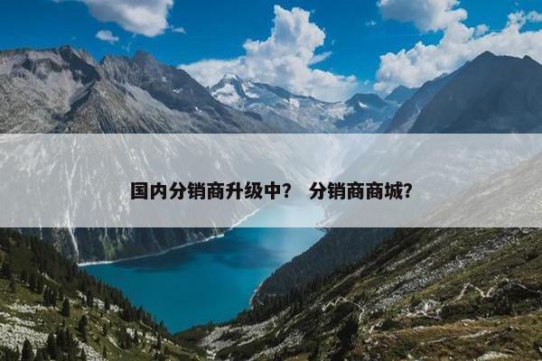 国内分销商升级中？ 分销商商城？