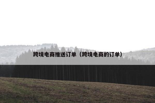 跨境电商推送订单（跨境电商的订单）