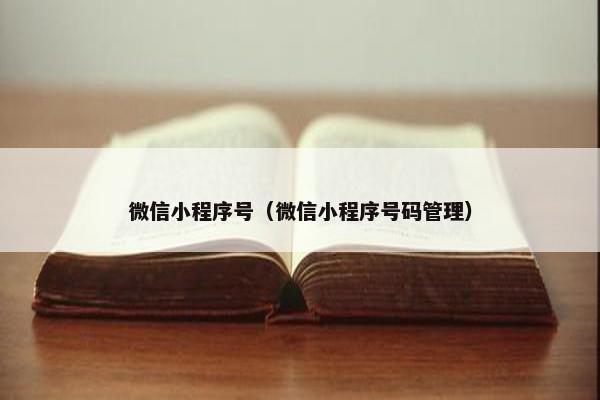 微信小程序号（微信小程序号码管理）