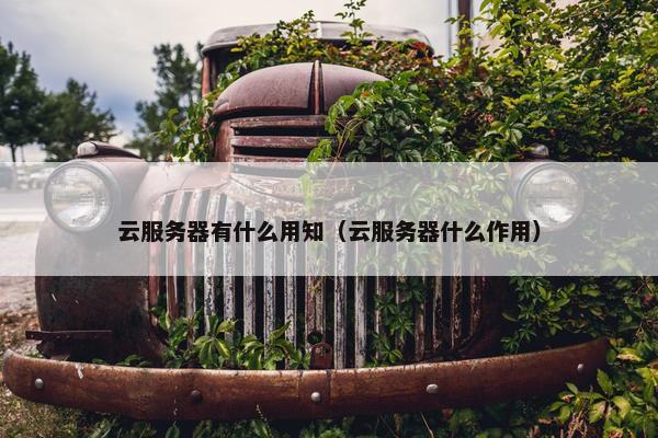 云服务器有什么用知（云服务器什么作用）