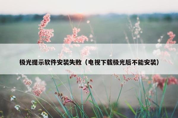 极光提示软件安装失败（电视下载极光后不能安装）
