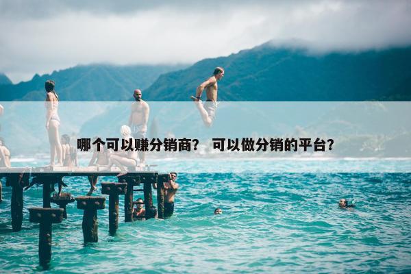 哪个可以赚分销商？ 可以做分销的平台？