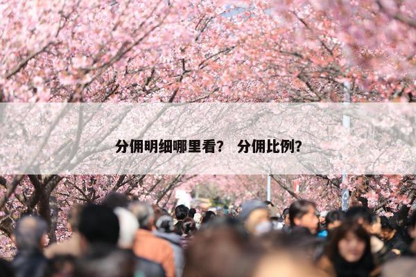 分佣明细哪里看？ 分佣比例？