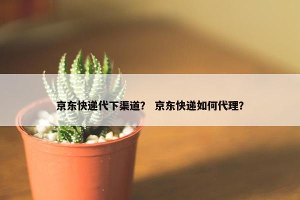 京东快递代下渠道？ 京东快递如何代理？