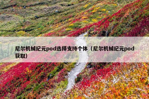 尼尔机械纪元pod选择支持个体（尼尔机械纪元pod获取）