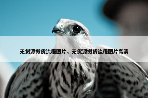 无货源搬货流程图片，无货源搬货流程图片高清