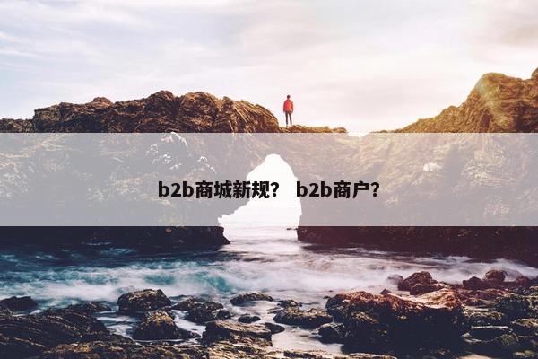 b2b商城新规？ b2b商户？