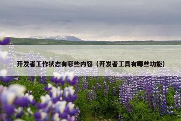 开发者工作状态有哪些内容（开发者工具有哪些功能）