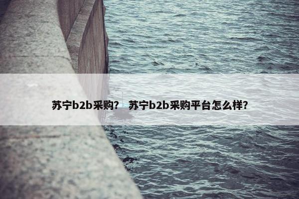 苏宁b2b采购？ 苏宁b2b采购平台怎么样？