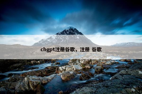 chgpt注册谷歌，注册 谷歌