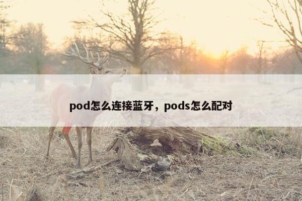 pod怎么连接蓝牙，pods怎么配对
