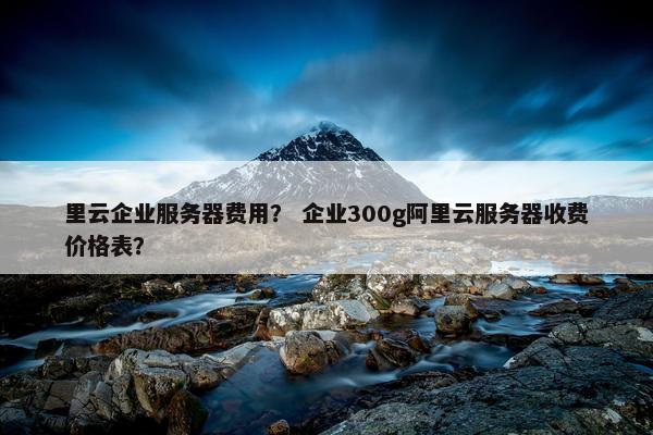 里云企业服务器费用？ 企业300g阿里云服务器收费价格表？