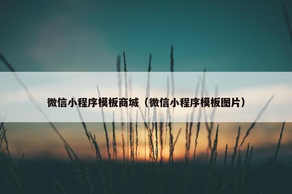 微信小程序模板商城（微信小程序模板图片）