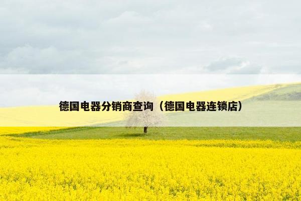 德国电器分销商查询（德国电器连锁店）