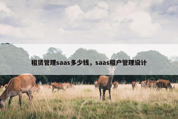 租赁管理saas多少钱，saas租户管理设计