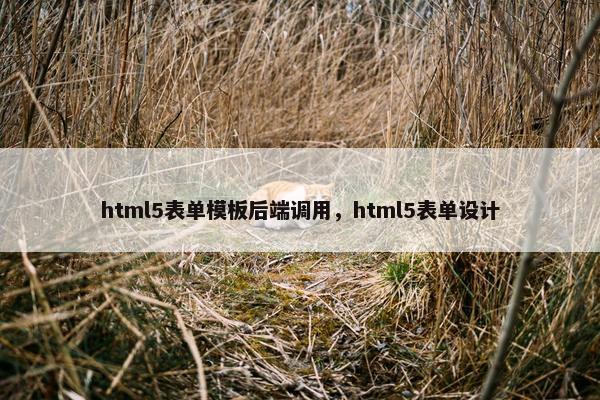 html5表单模板后端调用，html5表单设计