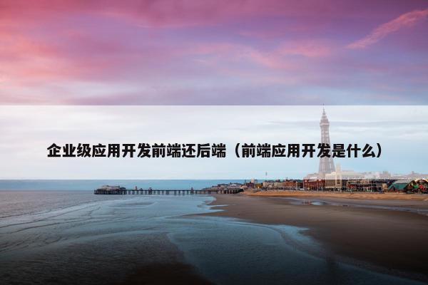 企业级应用开发前端还后端（前端应用开发是什么）