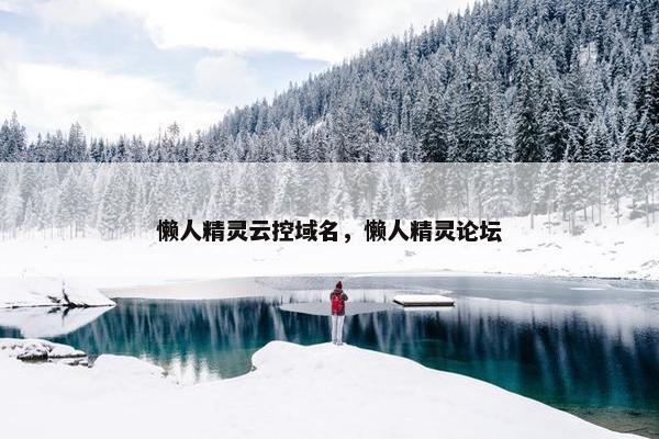 懒人精灵云控域名，懒人精灵论坛
