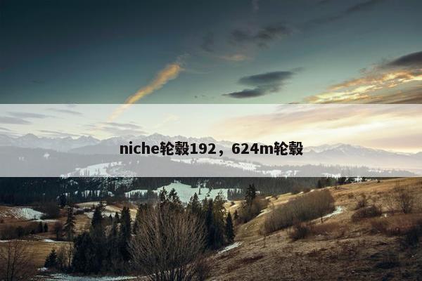 niche轮毂192，624m轮毂