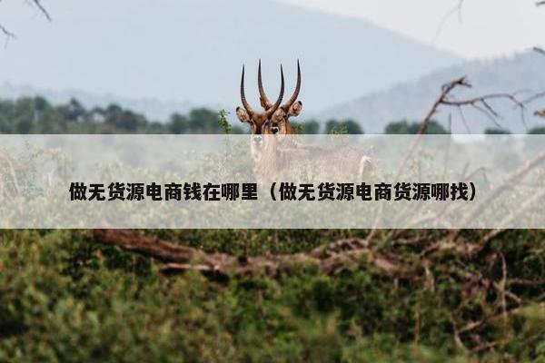 做无货源电商钱在哪里（做无货源电商货源哪找）