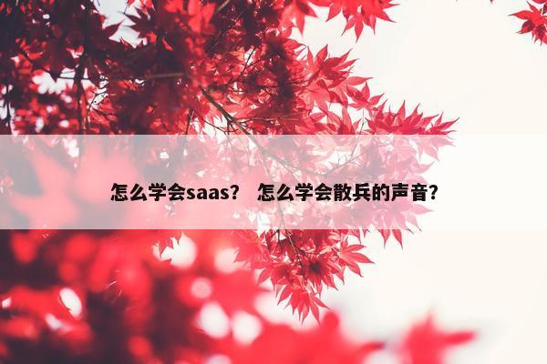 怎么学会saas？ 怎么学会散兵的声音？
