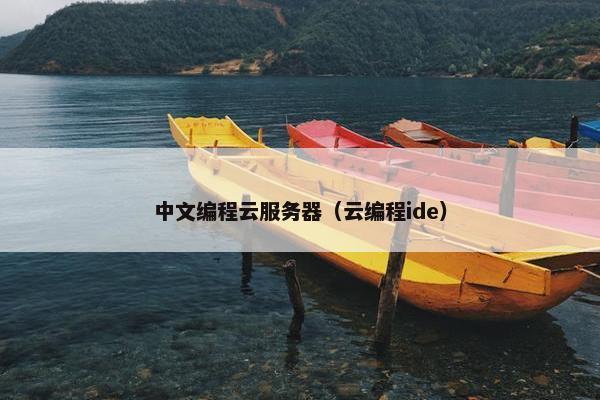 中文编程云服务器（云编程ide）
