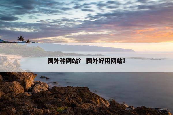 国外种网站？ 国外好用网站？