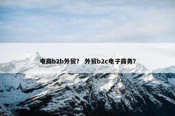 电商b2b外贸？ 外贸b2c电子商务？