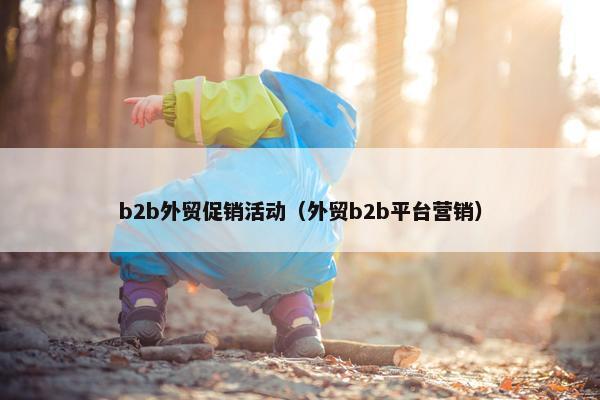 b2b外贸促销活动（外贸b2b平台营销）