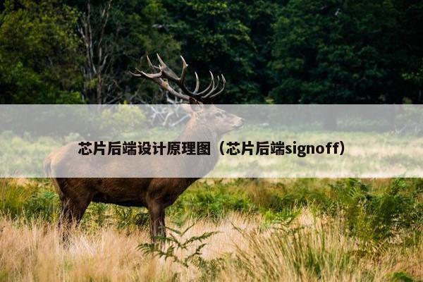 芯片后端设计原理图（芯片后端signoff）