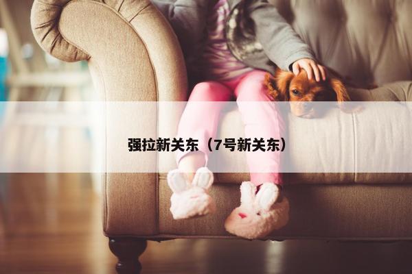 强拉新关东（7号新关东）