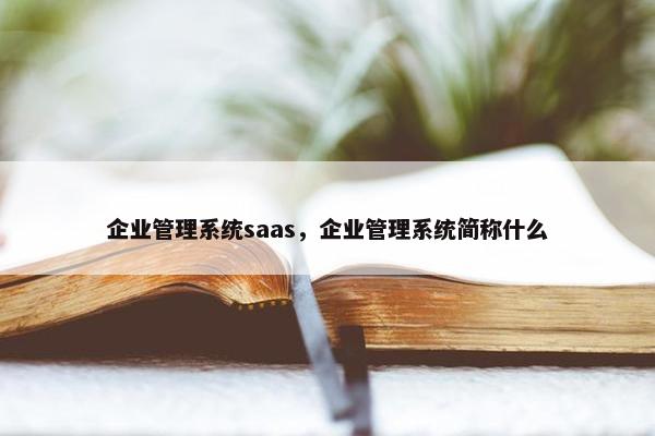 企业管理系统saas，企业管理系统简称什么