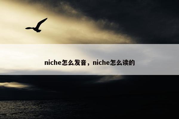 niche怎么发音，niche怎么读的