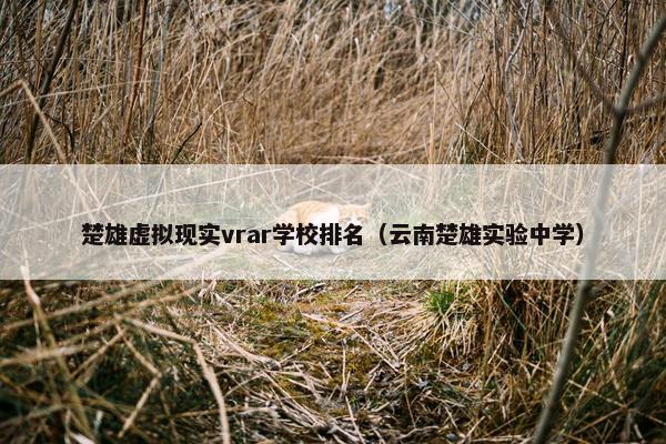 楚雄虚拟现实vrar学校排名（云南楚雄实验中学）