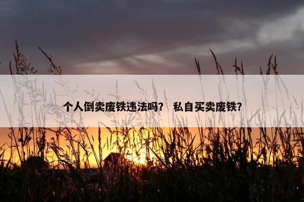 个人倒卖废铁违法吗？ 私自买卖废铁？