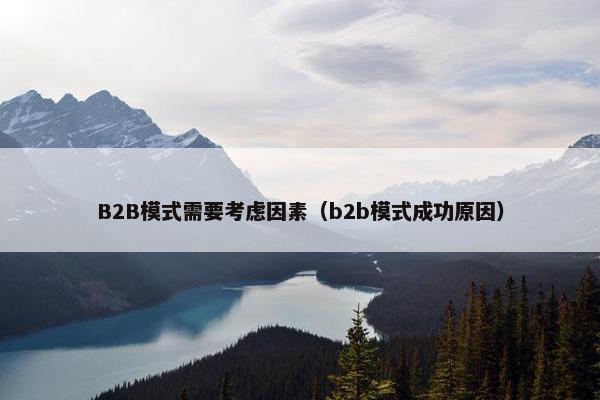 B2B模式需要考虑因素（b2b模式成功原因）