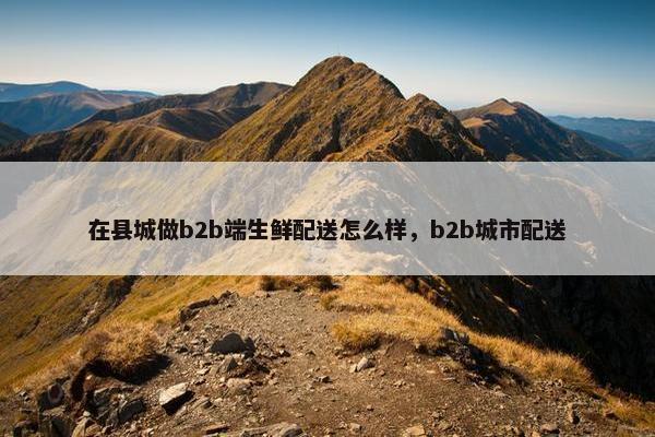在县城做b2b端生鲜配送怎么样，b2b城市配送