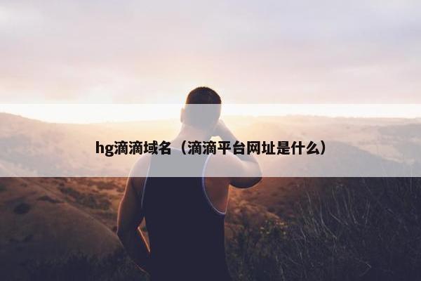 hg滴滴域名（滴滴平台网址是什么）