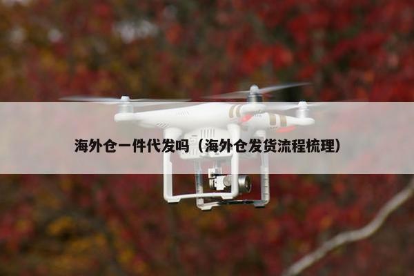 海外仓一件代发吗（海外仓发货流程梳理）