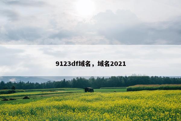 9123df域名，域名2021