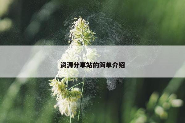 资源分享站的简单介绍