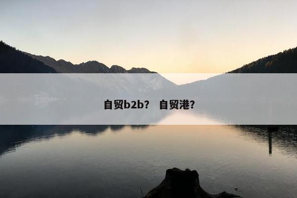 自贸b2b？ 自贸港？