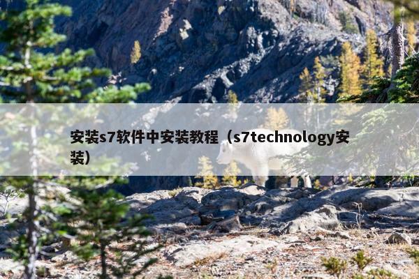 安装s7软件中安装教程（s7technology安装）