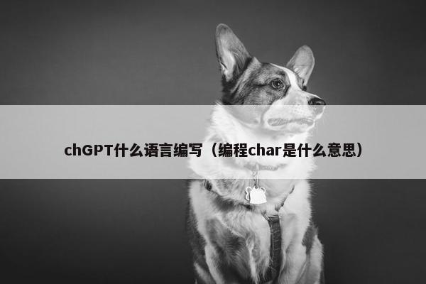 chGPT什么语言编写（编程char是什么意思）