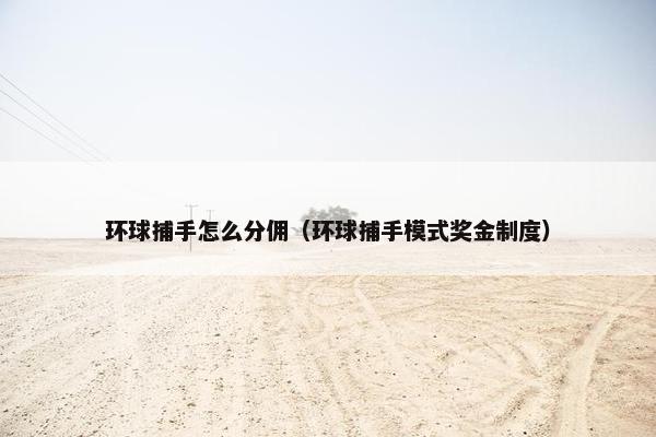 环球捕手怎么分佣（环球捕手模式奖金制度）