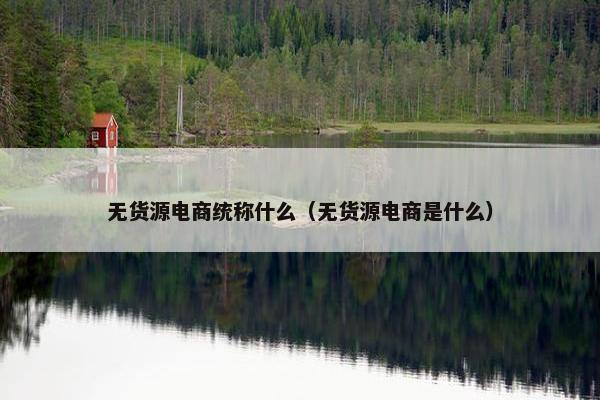 无货源电商统称什么（无货源电商是什么）